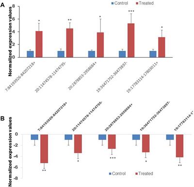 Identification of circular RNAs expression pattern in caprine fetal fibroblast cells exposed to a chronic non-cytotoxic dose of graphene oxide-silver nanoparticle nanocomposites